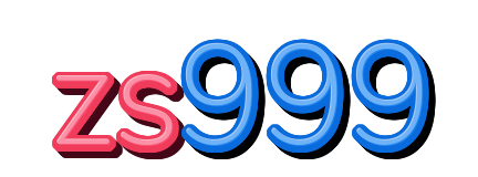 zs999 — logo kanal